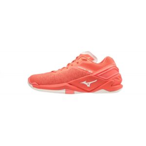 chaussure handball intérieur/extérieur